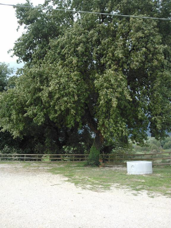 Agriturismo al Varco d'oro Villa Giuliano di Roma Esterno foto