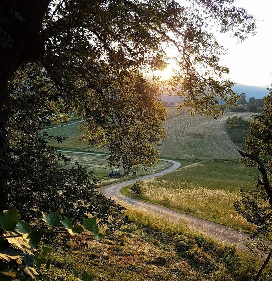 Agriturismo al Varco d'oro Villa Giuliano di Roma Esterno foto